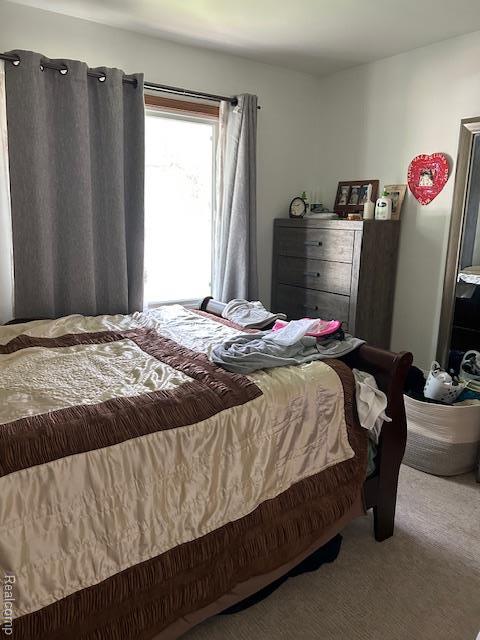 20796 Gill Rd, Farmington Hills, MI 48335 - view of carpeted bedroom