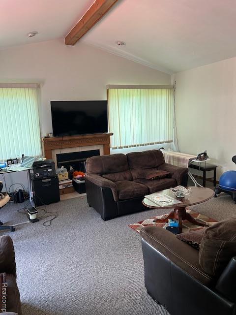 20796 Gill Rd, Farmington Hills, MI 48335 - carpeted living area featuring plenty of natural light and a glass covered fireplace