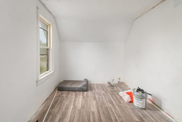 735 W Stewart St, Owosso, MI 48867 - additional living space featuring lofted ceiling and wood finished floors