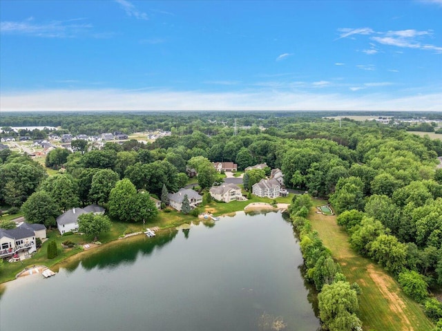 7870 Mooring Ct, Hudsonville, MI 49426 - bird's eye view of a nearby body of water