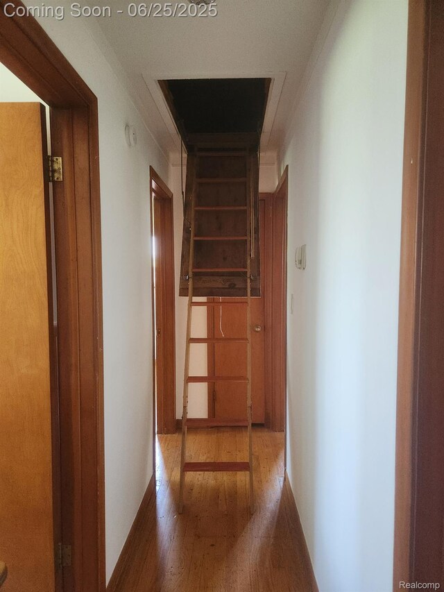 20313 Alexander St, Saint Clair Shores, MI 48081 - photo 16