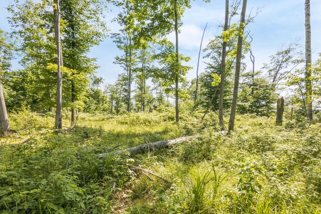 Tyrrell Beach Rd, Ellsworth, MI 49729