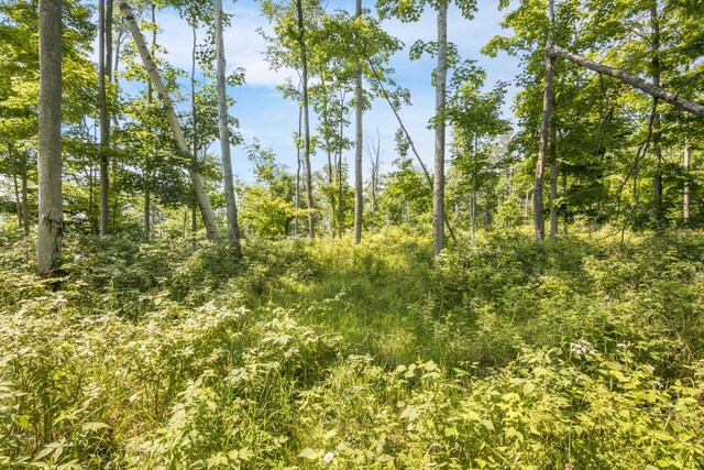 Tyrrell Beach Rd, Ellsworth, MI 49729