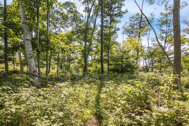 Tyrrell Beach Rd, Ellsworth, MI 49729