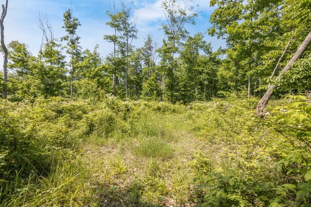 Tyrrell Beach Rd, Ellsworth, MI 49729
