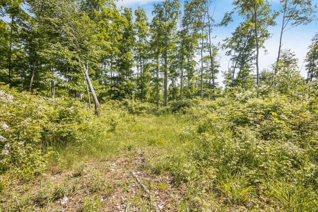 Tyrrell Beach Rd, Ellsworth, MI 49729