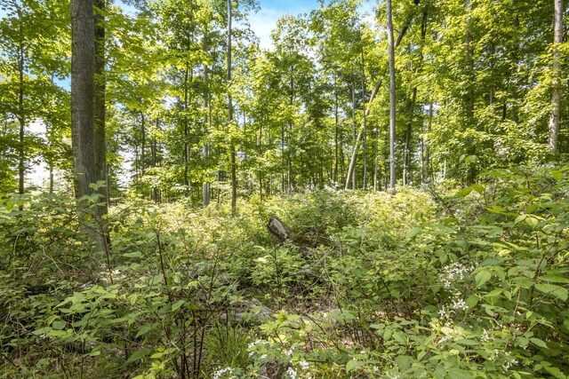 Tyrrell Beach Rd, Ellsworth, MI 49729