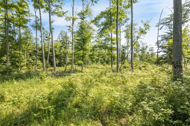 Tyrrell Beach Rd, Ellsworth, MI 49729