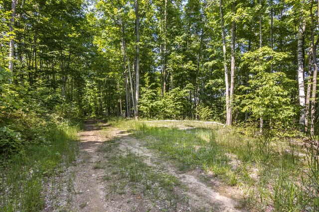Tyrrell Beach Rd, Ellsworth, MI 49729