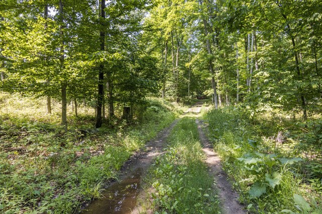 Tyrrell Beach Rd, Ellsworth, MI 49729