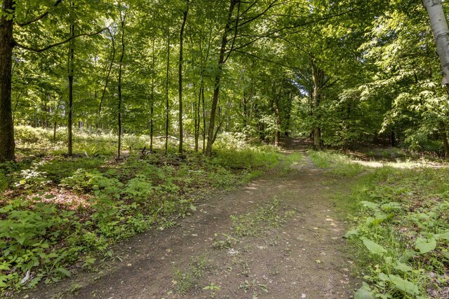 Tyrrell Beach Rd, Ellsworth, MI 49729