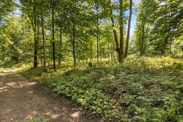Tyrrell Beach Rd, Ellsworth, MI 49729