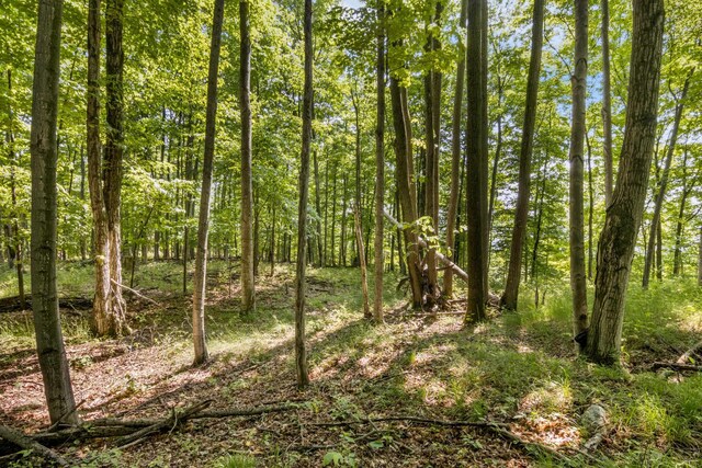 Tyrrell Beach Rd, Ellsworth, MI 49729