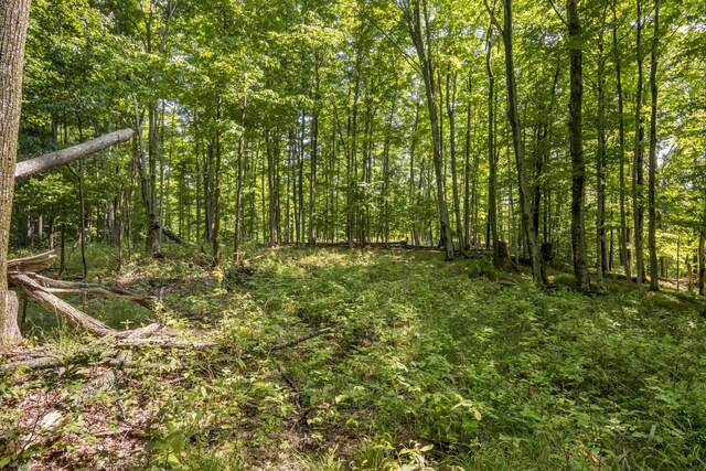 Tyrrell Beach Rd, Ellsworth, MI 49729