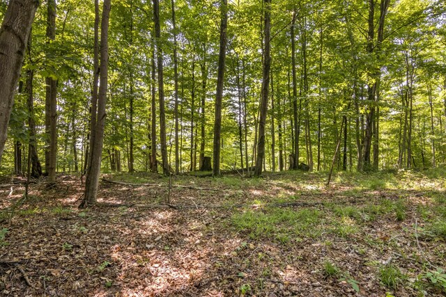 Tyrrell Beach Rd, Ellsworth, MI 49729