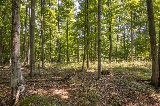 Tyrrell Beach Rd, Ellsworth, MI 49729