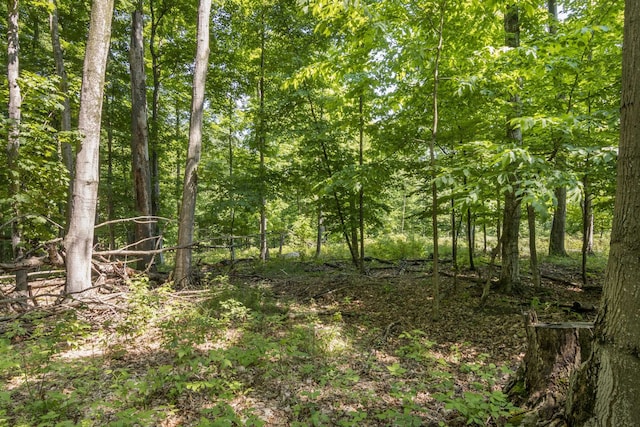 Tyrrell Beach Rd, Ellsworth, MI 49729