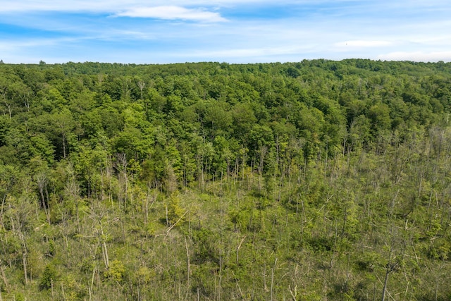 Tyrrell Beach Rd, Ellsworth, MI 49729