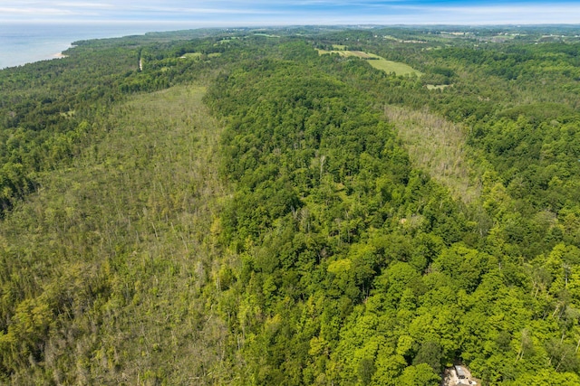 Tyrrell Beach Rd, Ellsworth, MI 49729