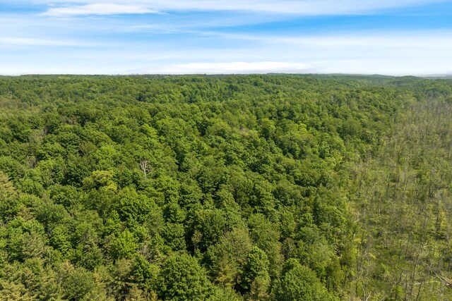 Tyrrell Beach Rd, Ellsworth, MI 49729
