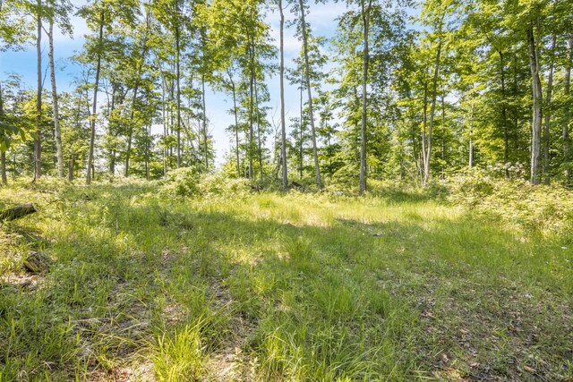 Tyrrell Beach Rd, Ellsworth, MI 49729