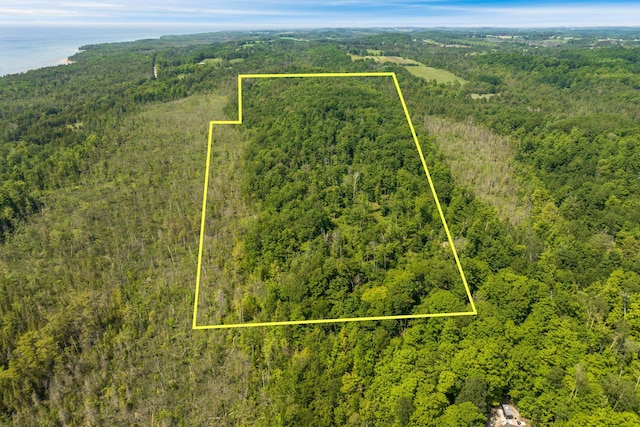 Tyrrell Beach Rd, Ellsworth, MI 49729