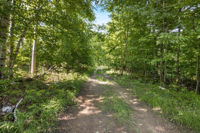 Tyrrell Beach Rd, Ellsworth, MI 49729