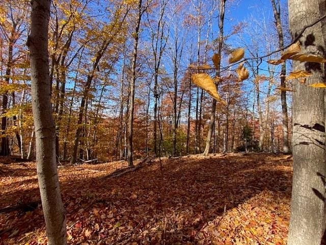 Tyrrell Beach Rd, Ellsworth, MI 49729