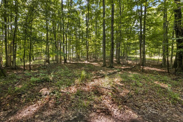 Tyrrell Beach Rd, Ellsworth, MI 49729