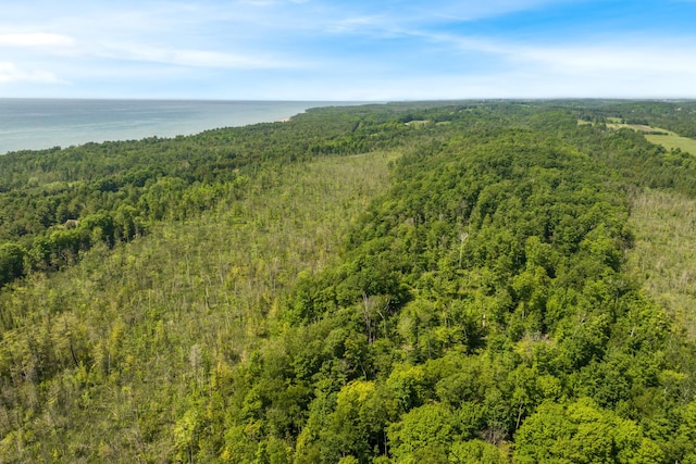 Tyrrell Beach Rd, Ellsworth, MI 49729