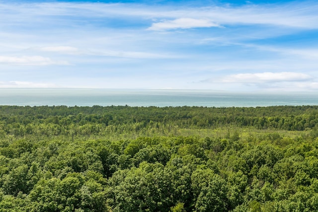 Tyrrell Beach Rd, Ellsworth, MI 49729