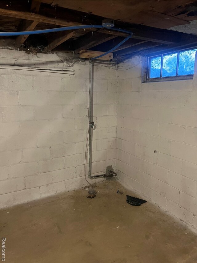19500 Rutherford St, Detroit, MI 48235 - view of below grade area