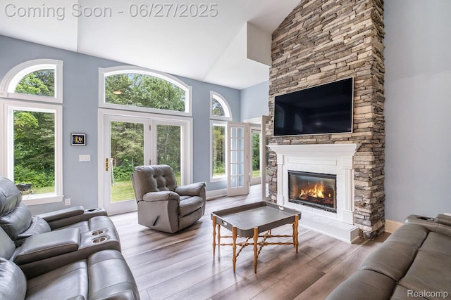 5408 N Seymour Rd, Flushing, MI 48433 - living room featuring high vaulted ceiling, a stone fireplace, wood finished floors, and plenty of natural light