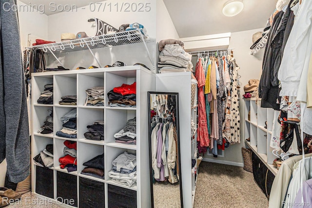 59141 Peters Barn Dr, South Lyon, MI 48178 - spacious closet with carpet