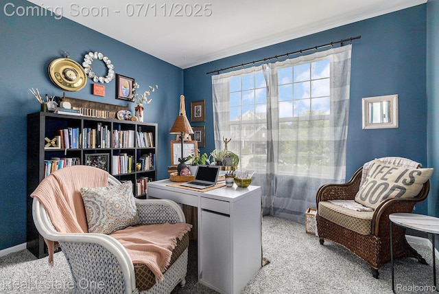 59141 Peters Barn Dr, South Lyon, MI 48178 - carpeted office with baseboards