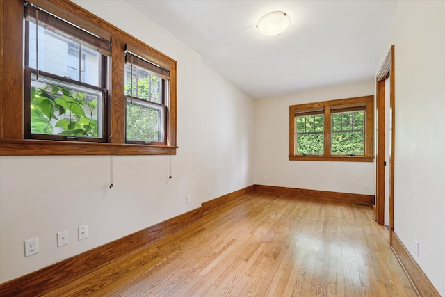 450 S 1st St, Ann Arbor, MI 48103 - unfurnished room with plenty of natural light and light wood finished floors