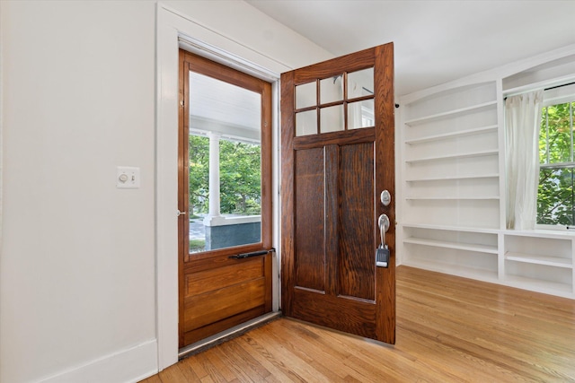 450 S 1st St, Ann Arbor, MI 48103 - foyer with light wood-type flooring