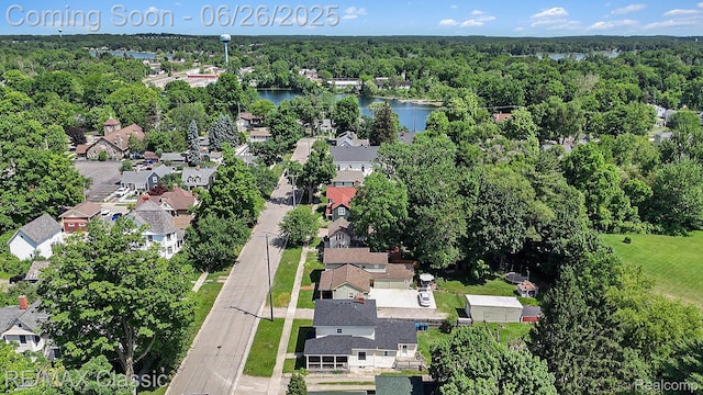 207 Washington St, Holly, MI 48442 - aerial view of residential area with a heavily wooded area and a nearby body of water