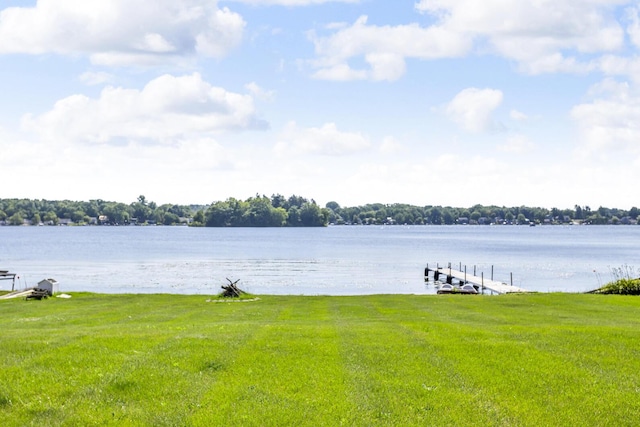38 Evans Trl, Tipton, MI 49287 - water view featuring a dock