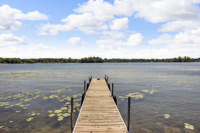 38 Evans Trl, Tipton, MI 49287 - dock featuring a water view
