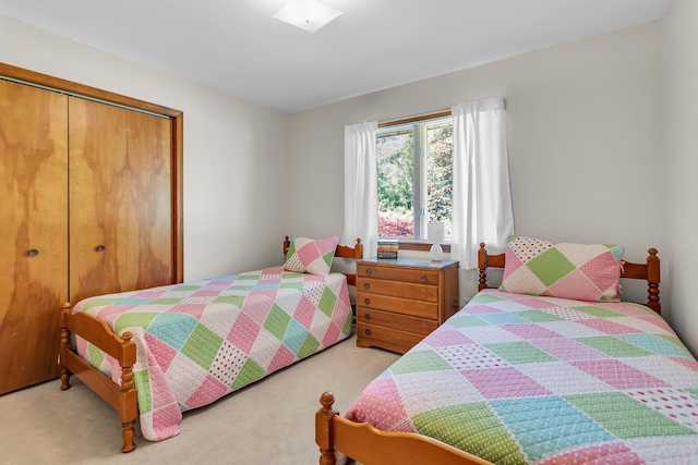 38 Evans Trl, Tipton, MI 49287 - bedroom with a closet and light carpet
