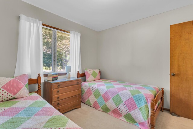 38 Evans Trl, Tipton, MI 49287 - bedroom featuring light colored carpet