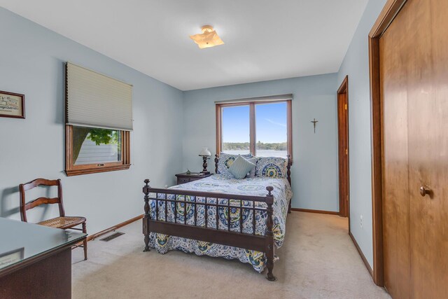 38 Evans Trl, Tipton, MI 49287 - bedroom featuring light carpet