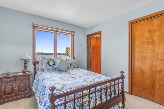 38 Evans Trl, Tipton, MI 49287 - bedroom featuring light carpet