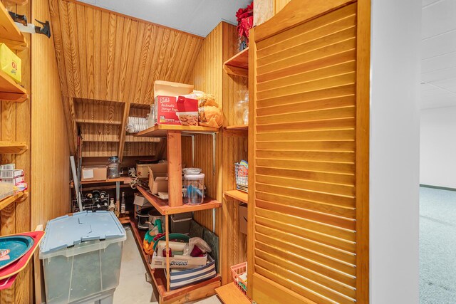 38 Evans Trl, Tipton, MI 49287 - view of storage