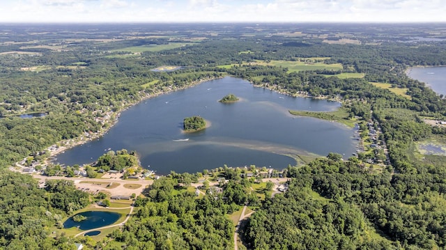38 Evans Trl, Tipton, MI 49287 - drone / aerial view of a large body of water and a heavily wooded area