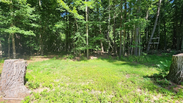 5213 S Newcosta Ave, Newaygo, MI 49337 - view of yard with a wooded view