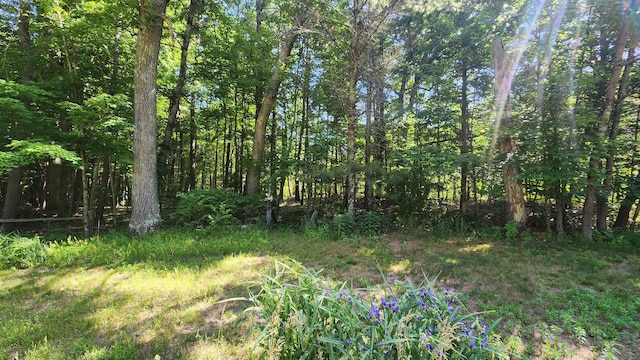 5213 S Newcosta Ave, Newaygo, MI 49337 - view of undeveloped land