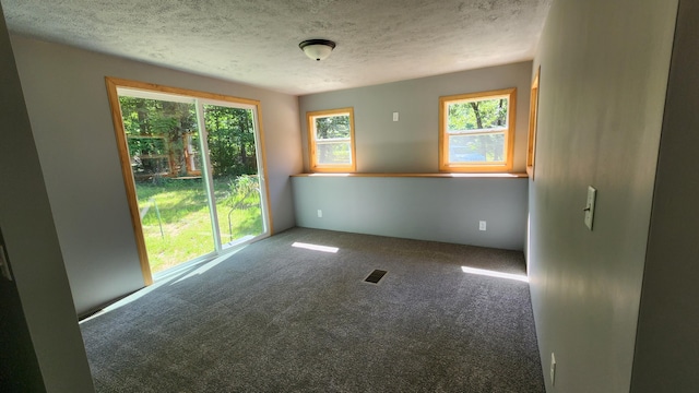 5213 S Newcosta Ave, Newaygo, MI 49337 - empty room featuring carpet floors and a textured ceiling