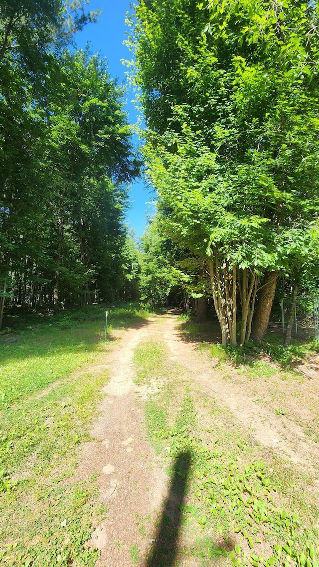 5213 S Newcosta Ave, Newaygo, MI 49337 - view of road